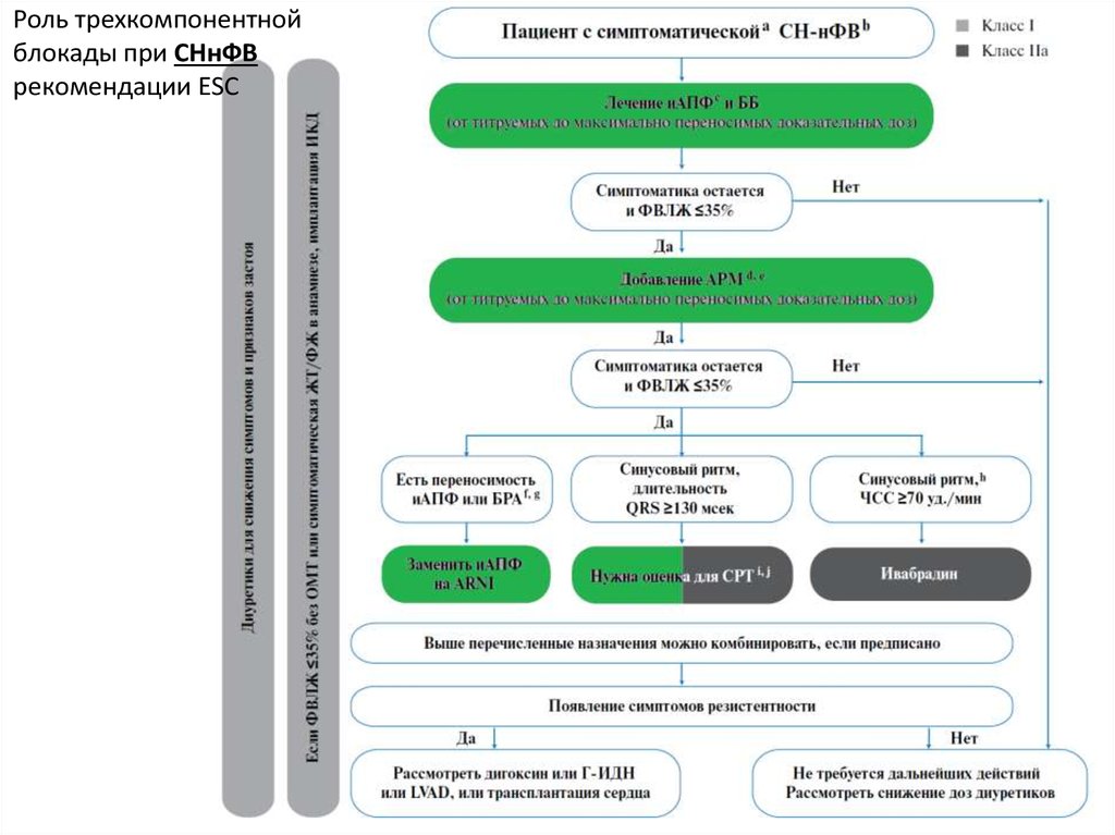 Роль диагностики. Терапия СННФВ. Ключевые исследования при СННФВ. Трехкомпонентные предложения. СННФВ.