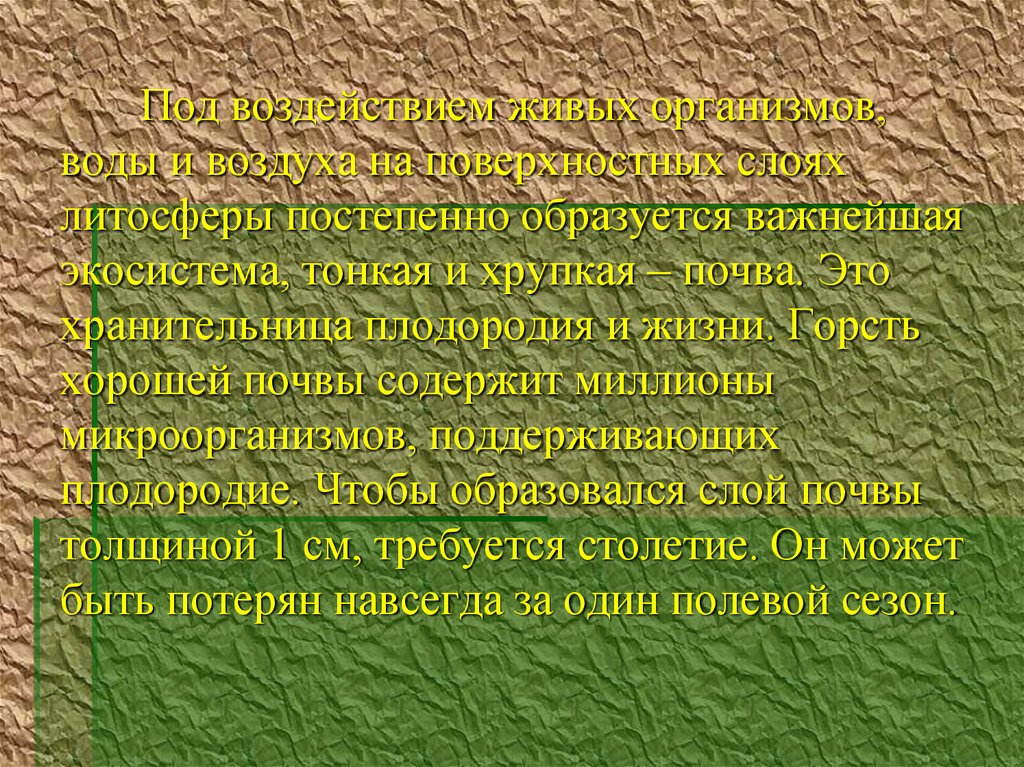 Под воздействием живых организмов, воды и воздуха на поверхностных слоях литосферы постепенно образуется важнейшая экосистема,