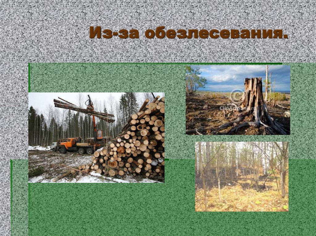 Эрозия почв возникает из-за неправильного ведения сельского хозяйства.