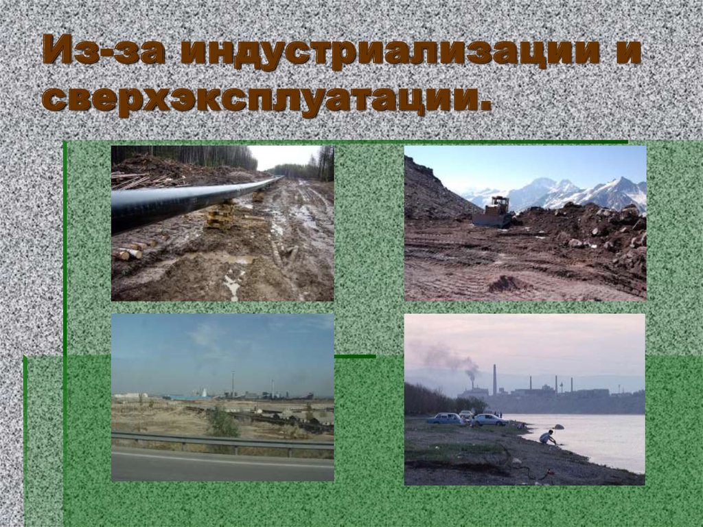 Из-за обезлесевания.