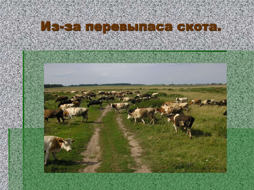 Из-за индустриализации и сверхэксплуатации.