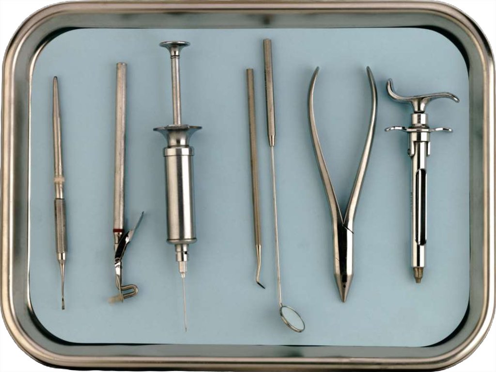 Олар попка служба