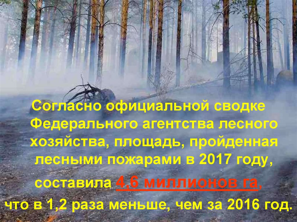 Лесные пожары презентация. Лесные пожары в 2017 году. Классный час Лесные пожары 2 класс. Лесные пожары эпиграф. Статус про Лесной пожар.