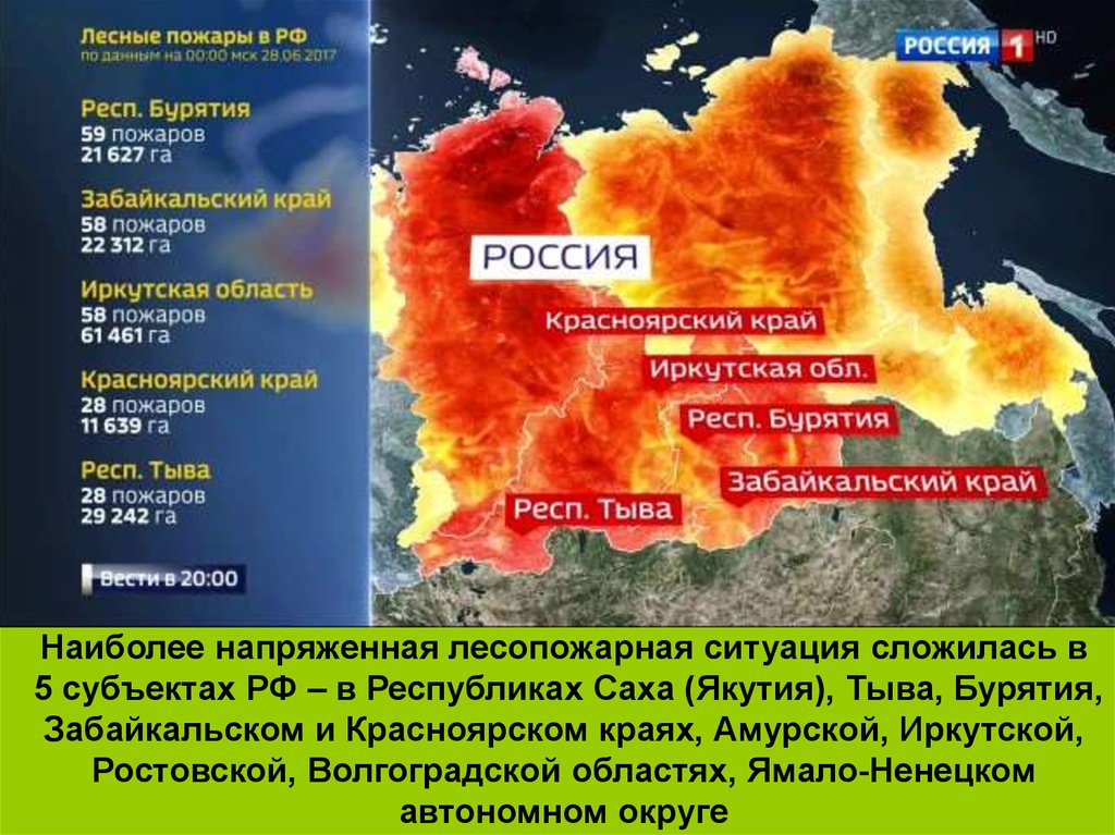 Проблема лесных пожаров в россии презентация