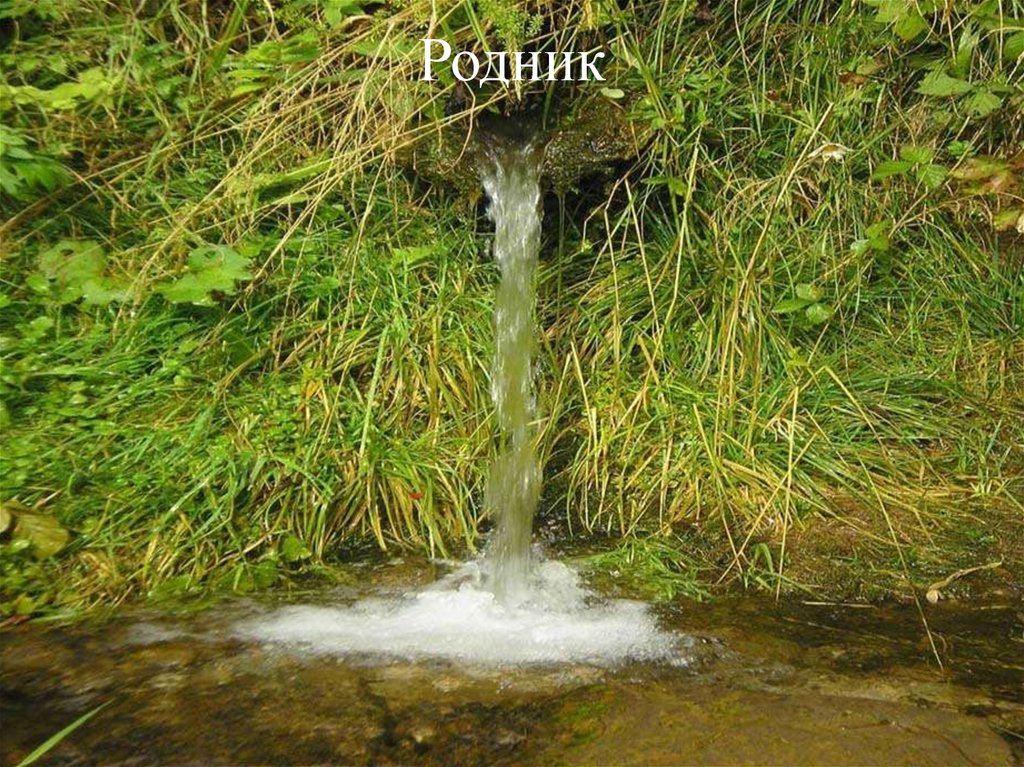 Родник