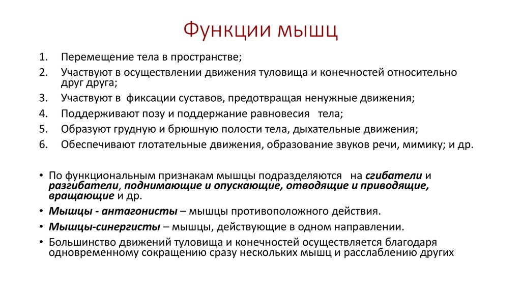 Функции мышц. Функции мышц в организме человека. Основные мышечные функции. Назовите функции мышц. Перечислите основные функции мышц.