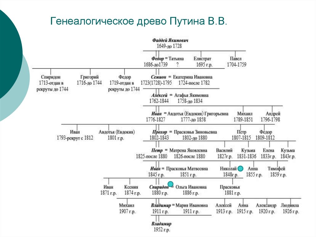 Генеалогическое древо владимира