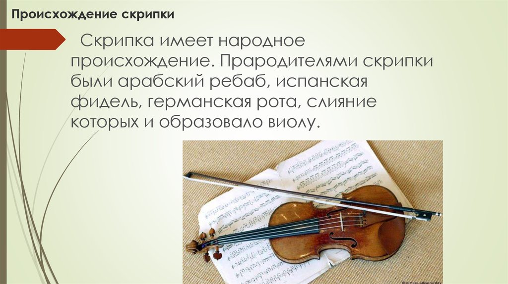 Сообщение о скрипке по музыке. Происхождение скрипки. Возникновение скрипки. История происхождения скрипки. Интересные скрипки.