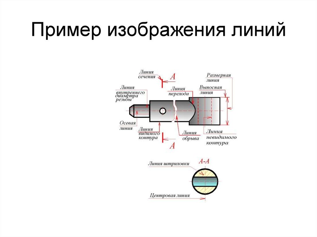 Какой линией изображают. Осевые и центровые линии. Линия для изображения осевых и центровых линий. Изображение центровых линий. Осевая линия в рисунке.