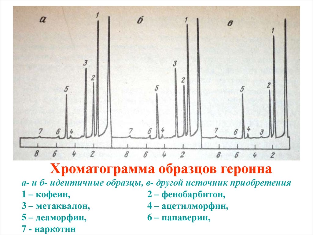 Нарисовать хроматограмму онлайн