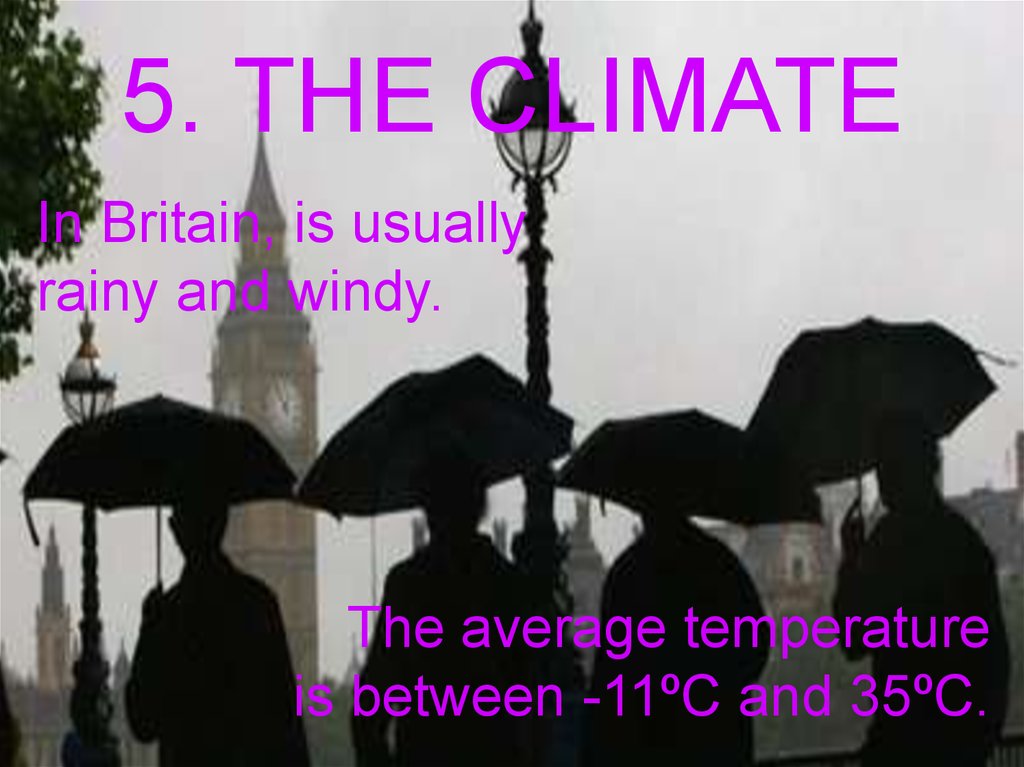 5. THE CLIMATE