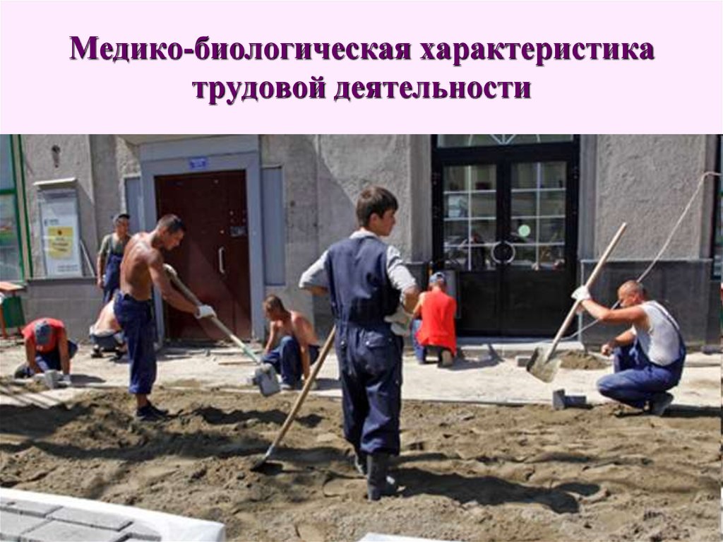 Медико-биологическая характеристика трудовой деятельности