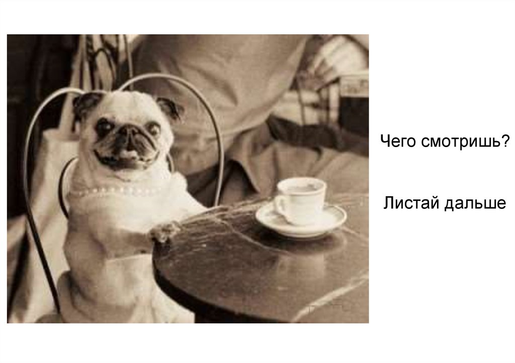 Чего смотришь? Листай дальше