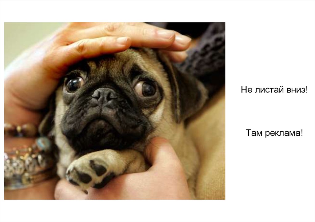 Не листай вниз! Там реклама!