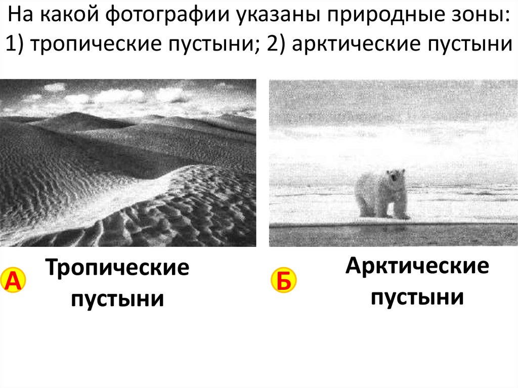 На какой фотографии указаны природные зоны: 1) тропические пустыни; 2) арктические пустыни