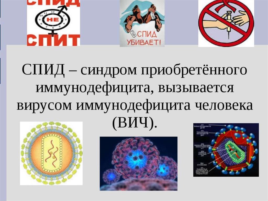 Вич проект по биологии