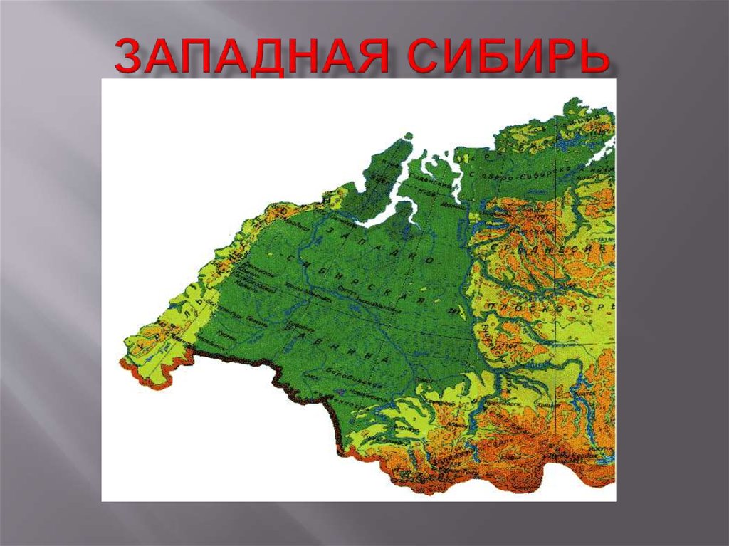 Природные зоны сибирской равнины 8 класс. Западная Сибирь. Западная Сибирь на карте. Западно Сибирская равнина. Западная Сибирна карте.