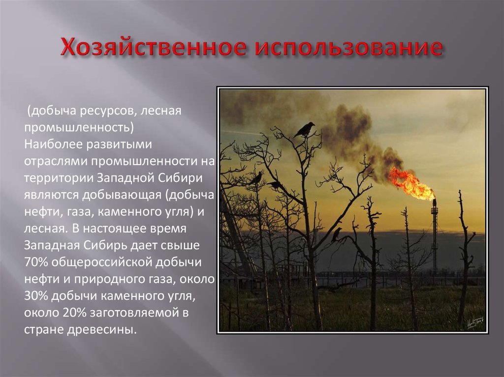 Особенностью западной сибири является. Хозяйственное использование территории это. Хозяйственное использование Западной Сибири. Хозяйственное использование Западно сибирской равнины. Хозяйственное использование ресурсов.