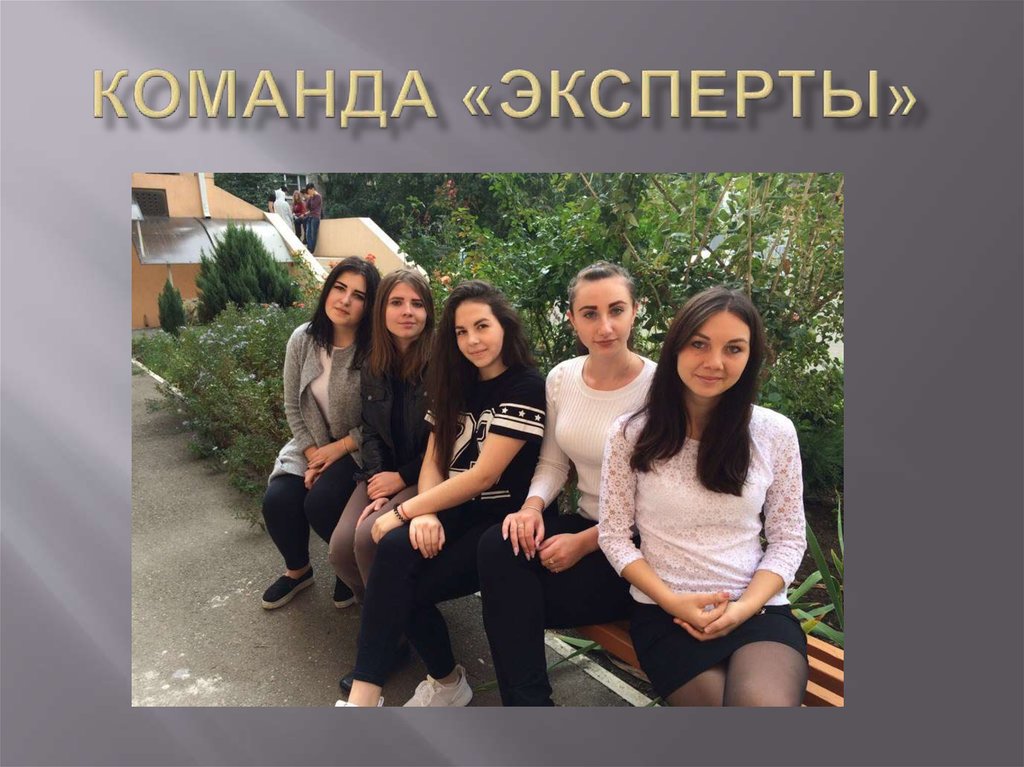 Команда «Эксперты»