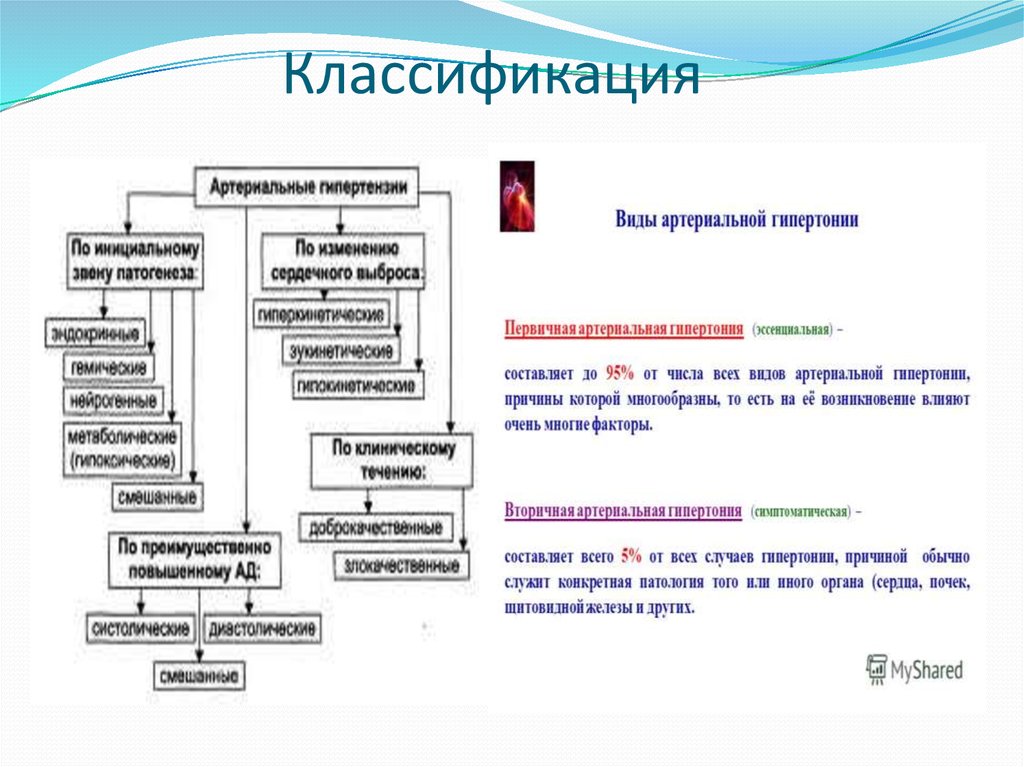 Увеличено составляет. Артериальная гипертензия виды классификация.