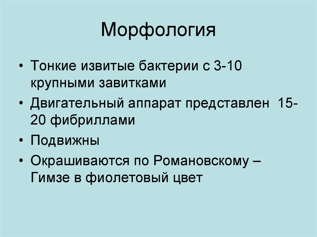 Классификация и морфология спирохет. Спирохеты по Романовскому-Гимзе.