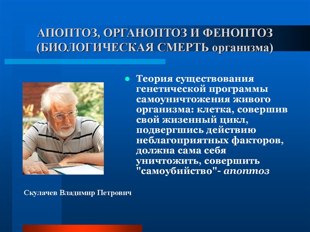 Теория организма. Феноптоз и апоптоз. Феноптоз в социологии. Генетическая (программная теория). Теория апоптоза старения.