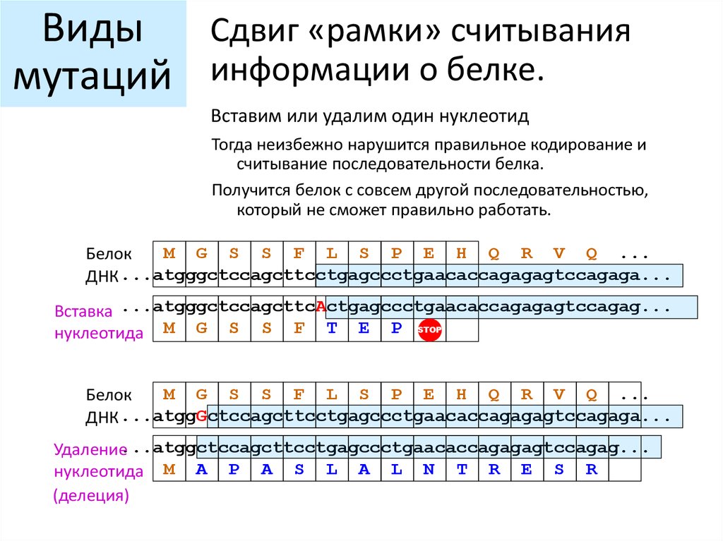 Рамка считывания. Делеция сдвиг рамки считывания. Мутации (делеция, сдвиг рамки считывания). Мутации типа сдвига рамки считывания. Мутации со сдвигом рамки считывания.