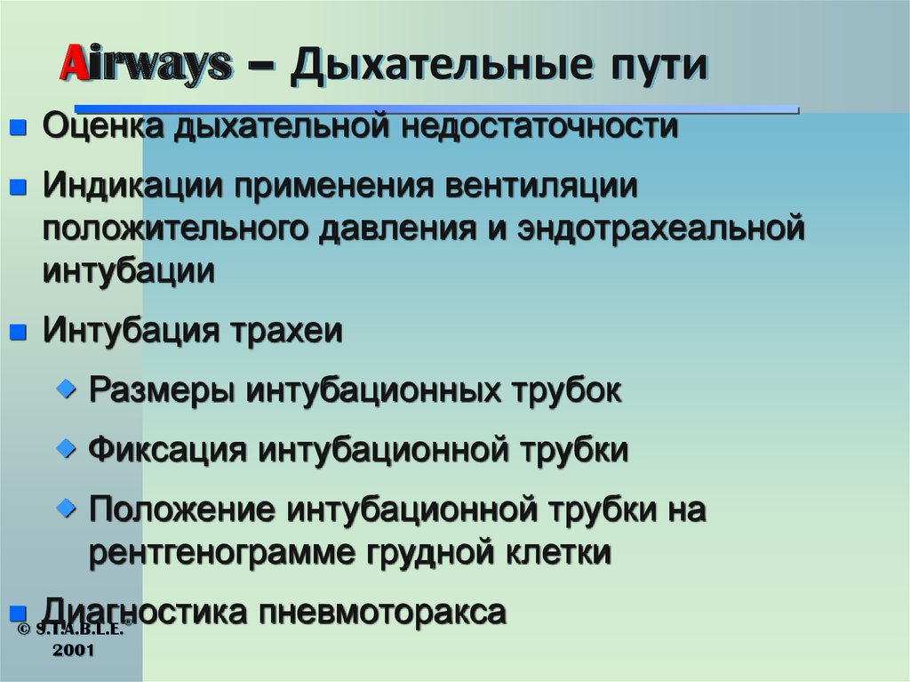 Airways – Дыхательные пути