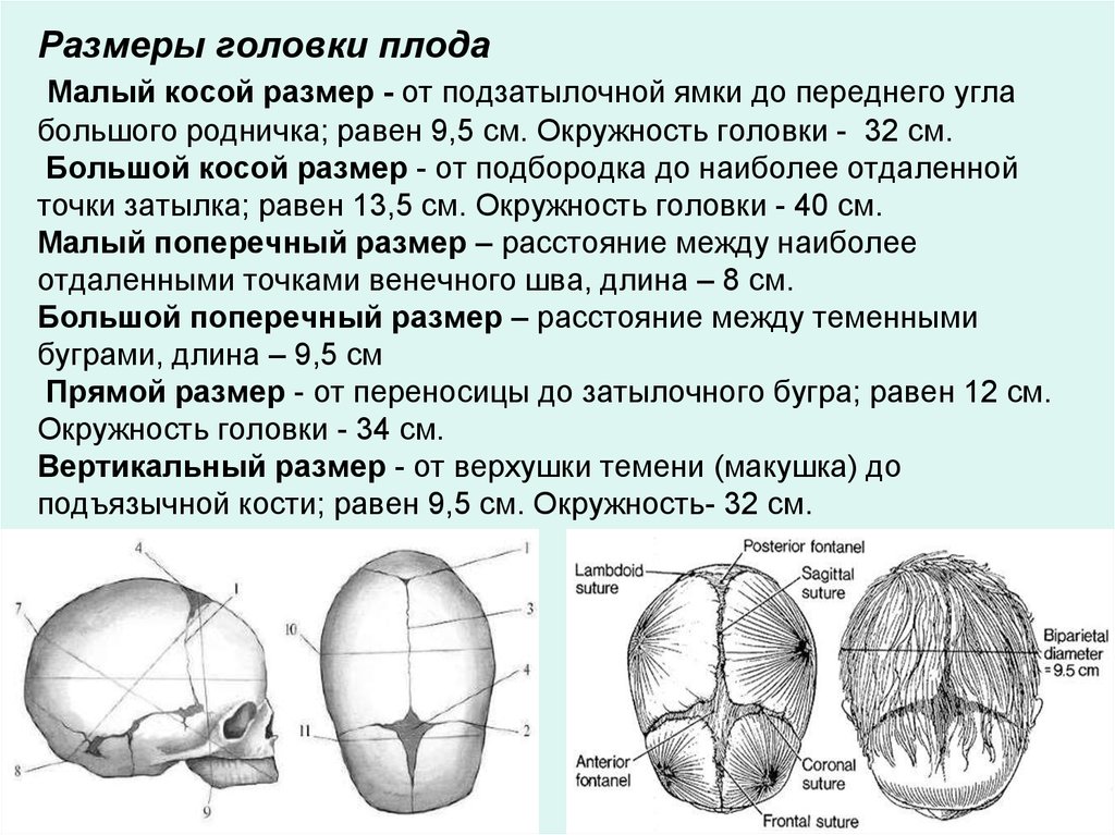 Поперечный диаметр. Малый косой размер головки доношенного плода:. Строение головки плода швы роднички. Размеры головки новорожденного. Подзатылочная ямка у новорожденного.