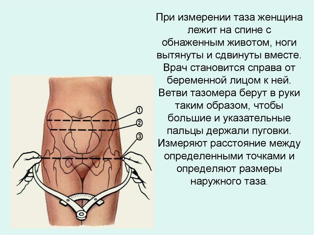 Измерение таза картинки