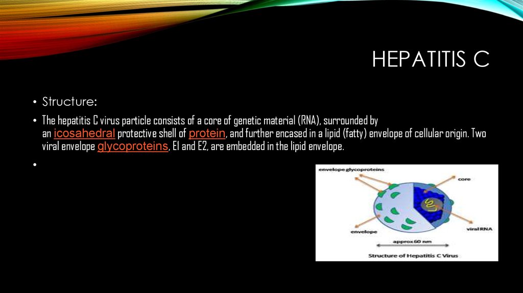 hep easy how to catch c Hepatites  Ð¿Ñ€ÐµÐ·ÐµÐ½Ñ‚Ð°Ñ†Ð¸Ñ  Ð¾Ð½Ð»Ð°Ð¹Ð½ virus