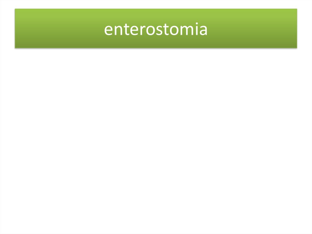 enterostomia