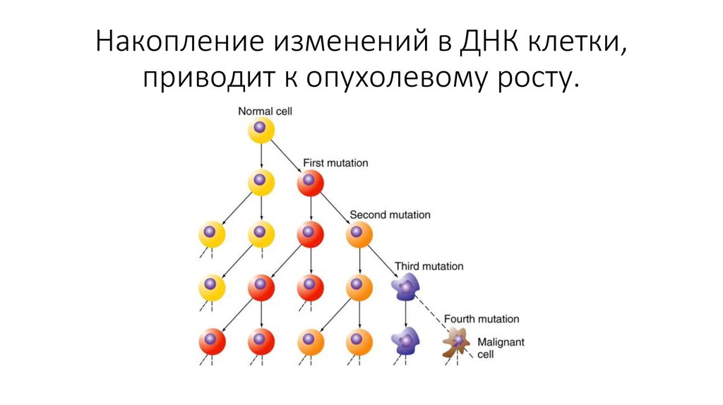 Изменение днк