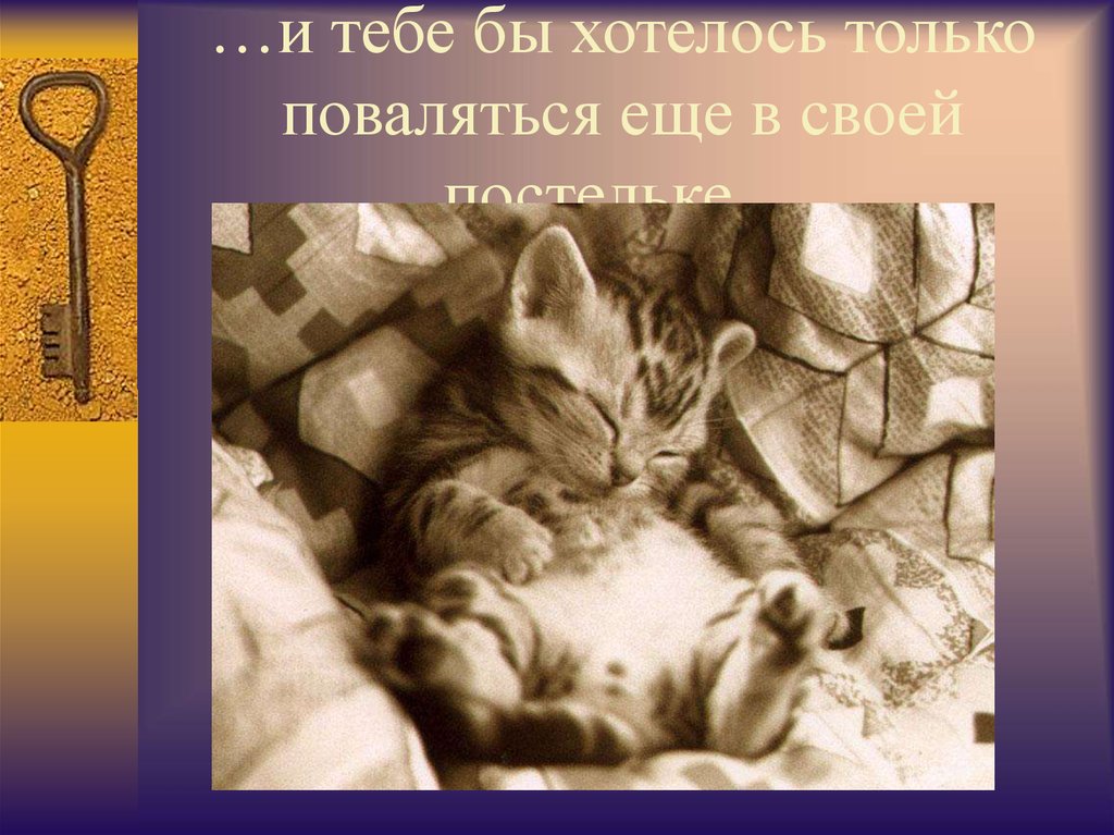 …и тебе бы хотелось только поваляться еще в своей постельке....