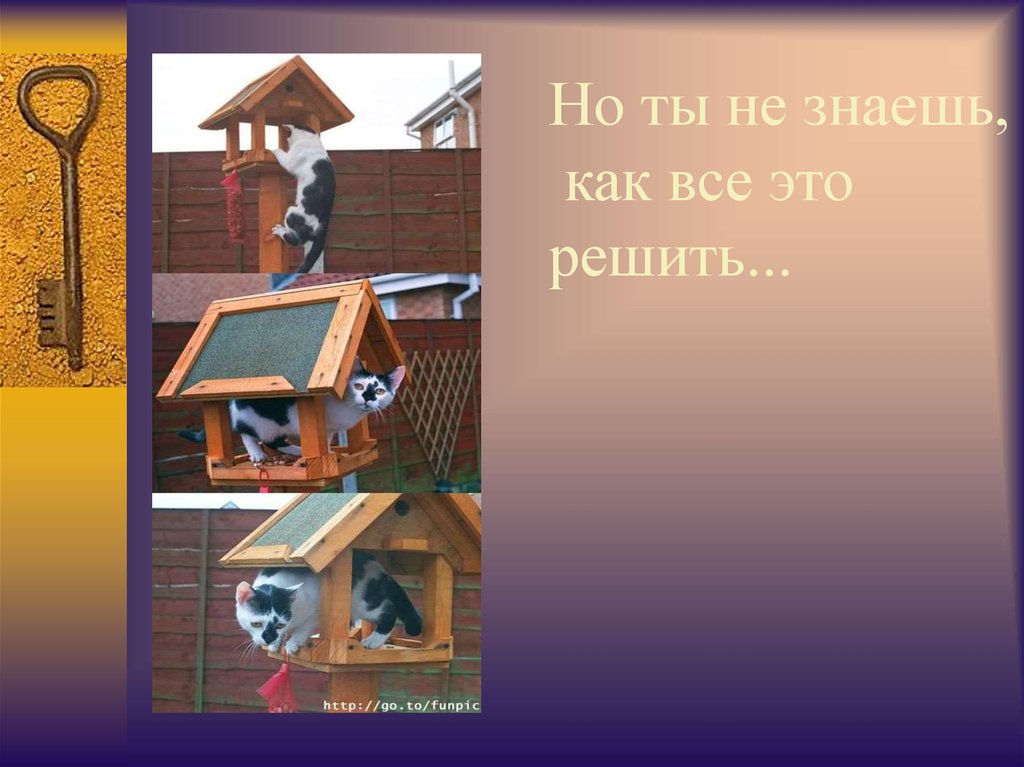 Но ты не знаешь, как все это решить...