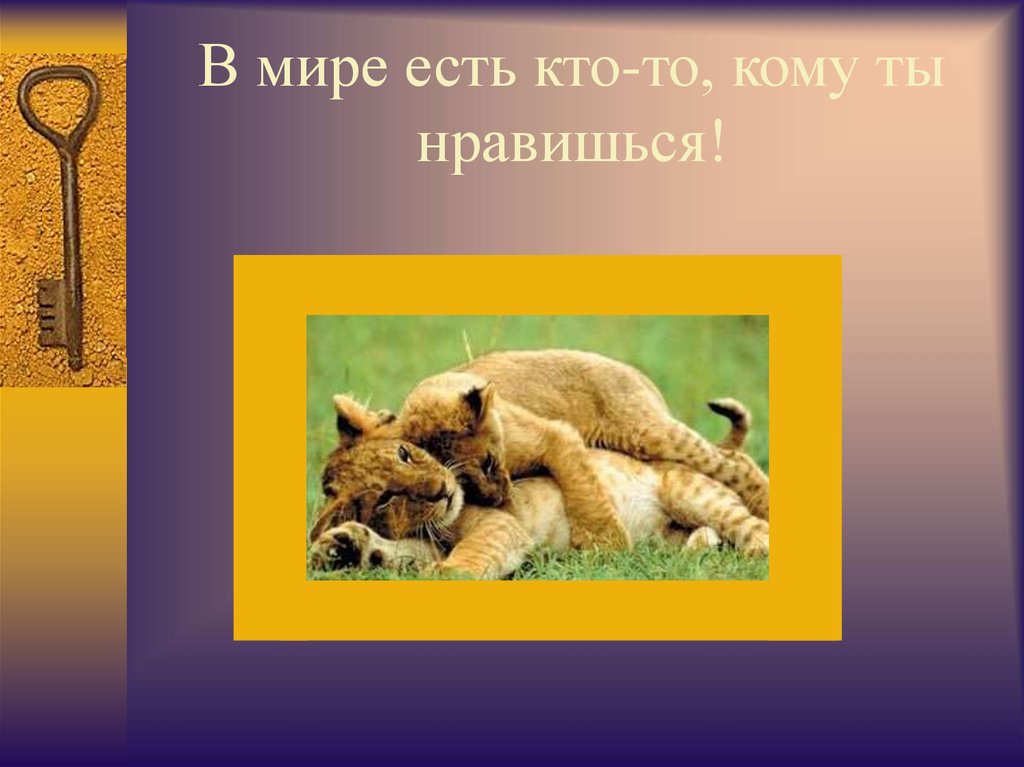 В мире есть кто-то, кому ты нравишься!