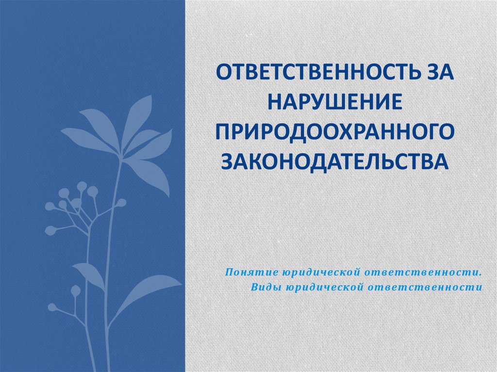 Ответственность за нарушение экологического законодательства. Санкции за нарушение природоохранного законодательства. Ответственность за нарушение природоохранного законодательства РФ. Профилактика нарушений природоохранного законодательства. Административная ответственность за экологические правонарушения.