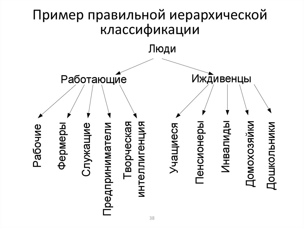 Иерархическая схема классификации мяса