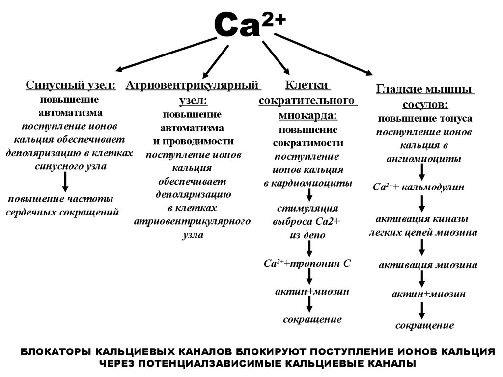 Стабильная стенокардия презентация