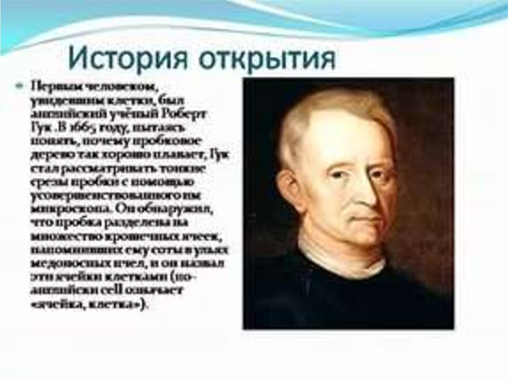 Кто из ученых поставил опыт показанный на картинке и таким образом породил сомнения ответы