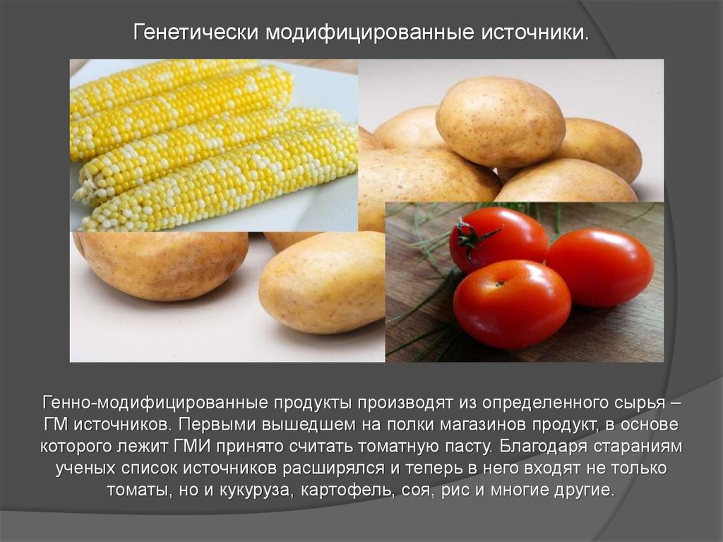 Презентация на тему генномодифицированные продукты