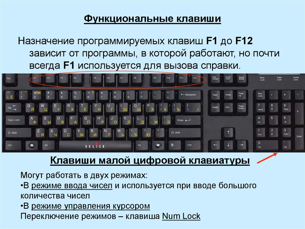 Какая клавиша отключает использование цифрового блока. Как выглядит кнопка с клавиатуры сзади. Назначение кнопок на клавиатуре компьютера f1-f12. Клавиатура компьютера раскладка обозначение. Назначение клавиш f1-f12.