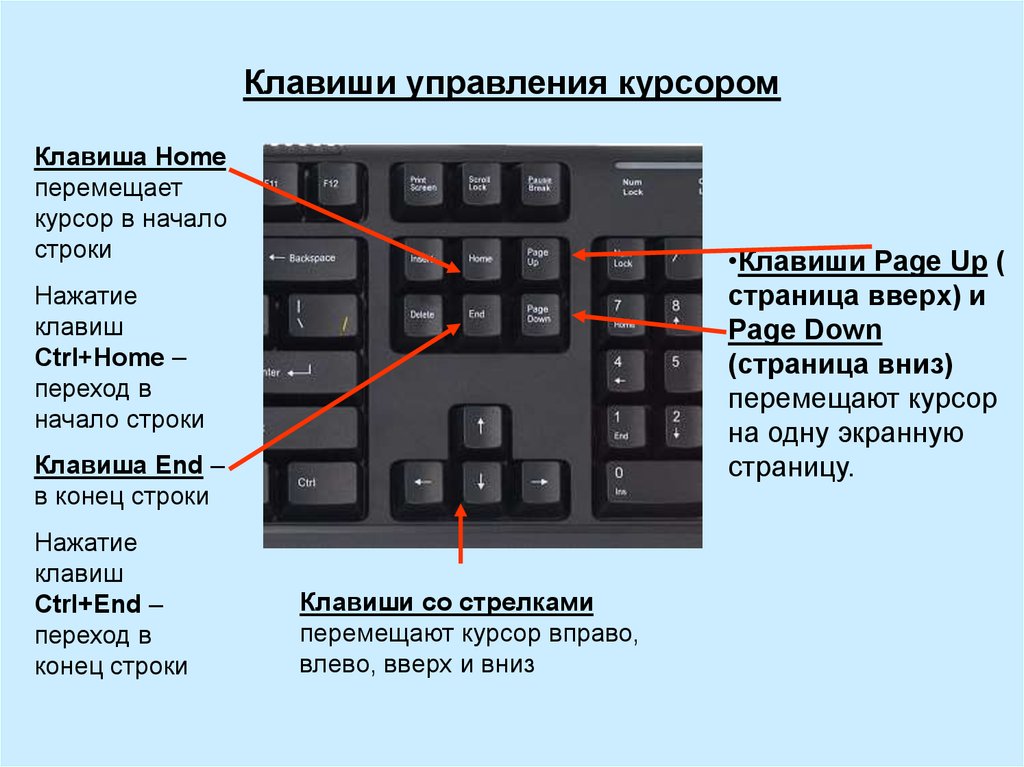 С помощью какой клавиши. Как Скопировать кнопками клавиатуры. Как на компьютере вставить скопированный текст с помощью клавиатуры. Как вставить копирование клавиатурой. Как вставить копию на клавиатуре.