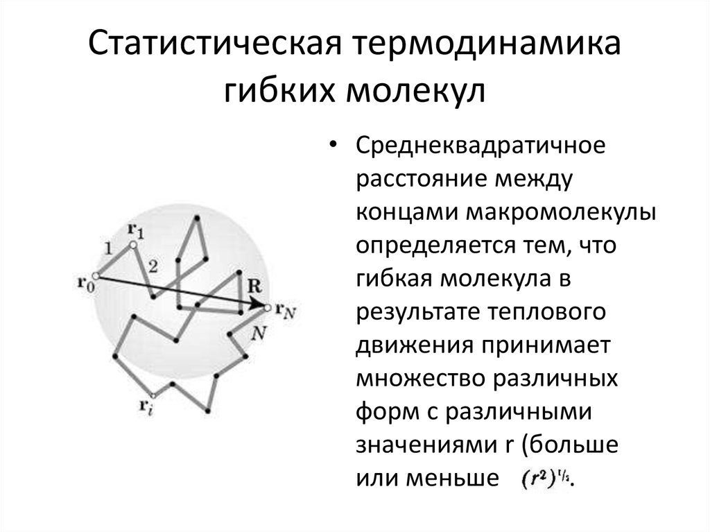 Статистический и термодинамический методы исследования. Статистическая термодинамика. Среднеквадратичное расстояние между концами макромолекулы. Статический и термодинамический методы исследования. Статическая термодинамика.