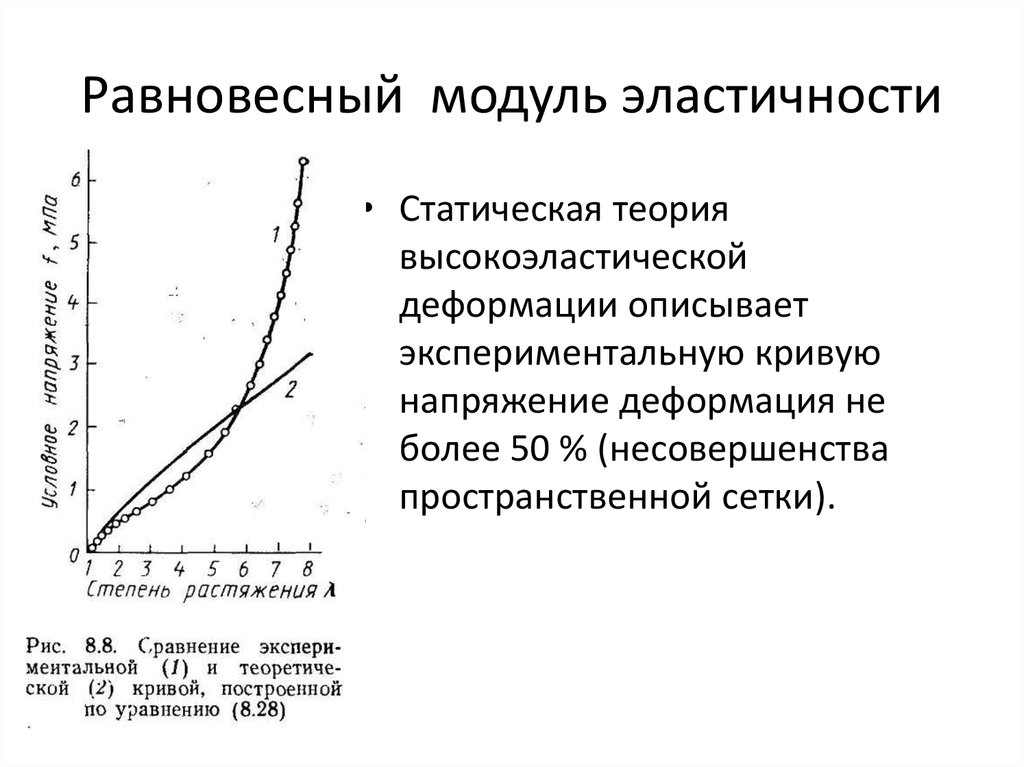 Равновесный модуль эластичности