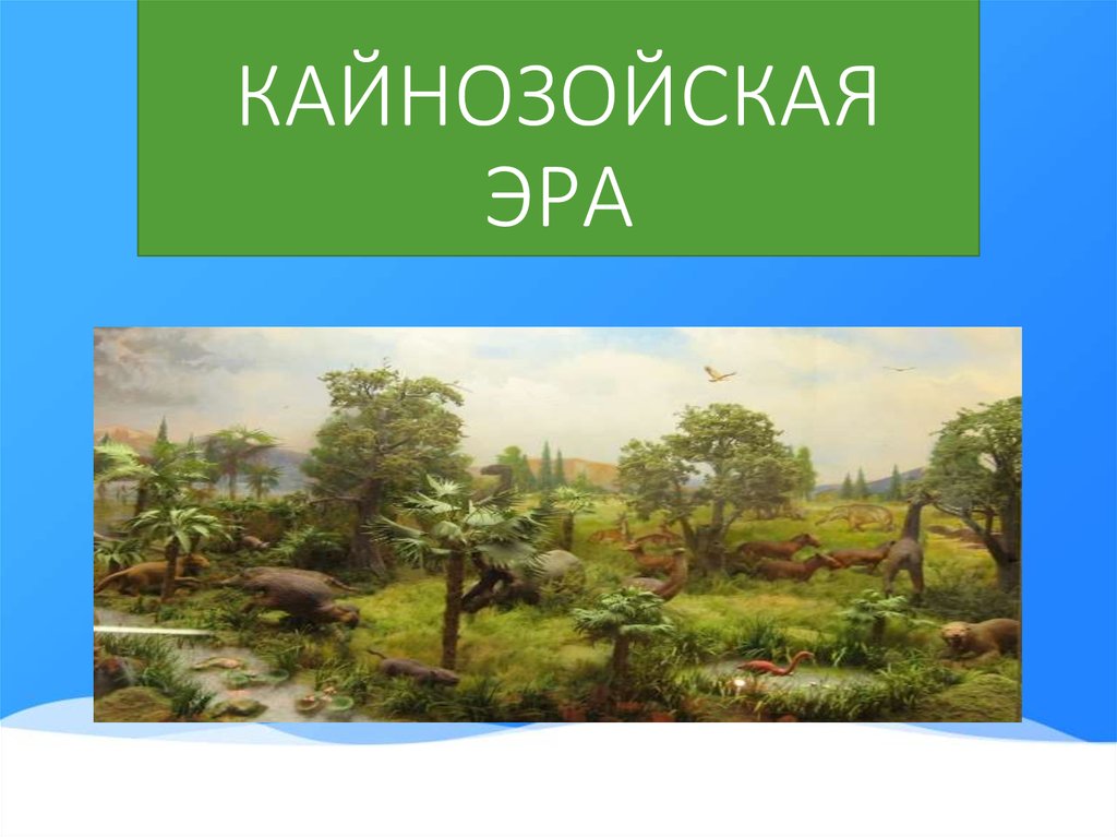 Презентация по биологии на тему кайнозойская эра