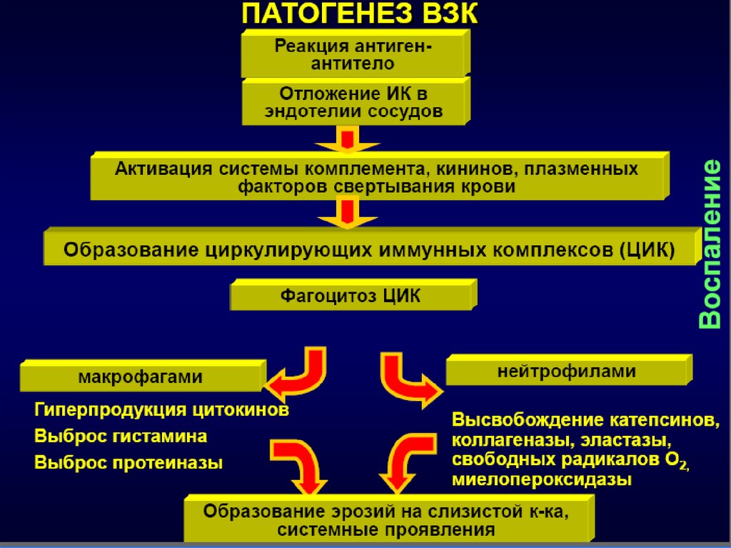 Патогенез болезни