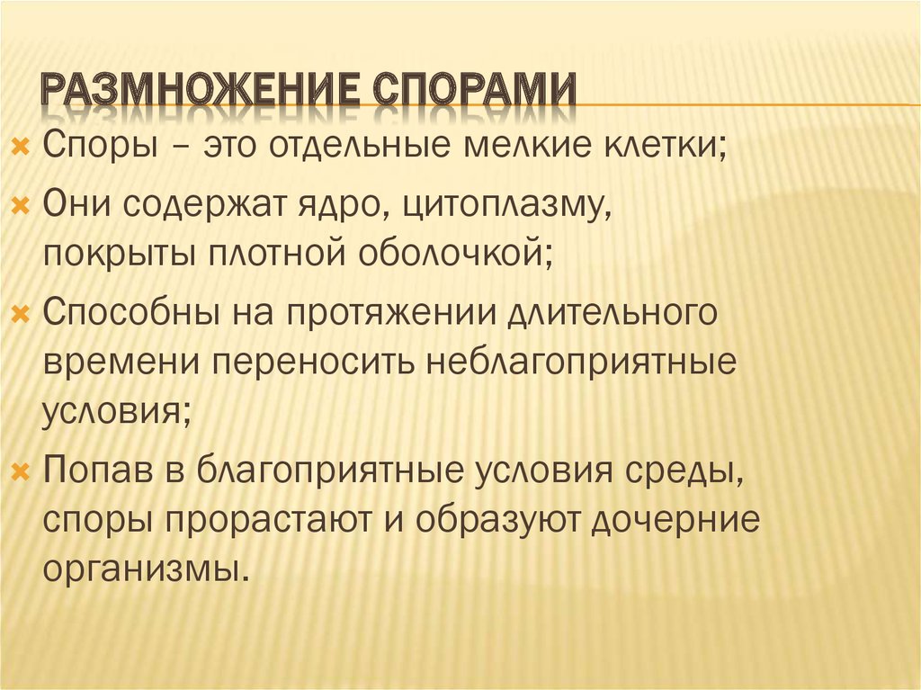 Значение размножения в природе. Преимущество размножения спорами. Размножение в спорах. Философы размножаются спорами. Не размножаются спорами.