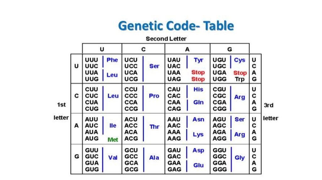 Code 18. Genetic code. Gene code. Genetic code Table. What is the genetic code.