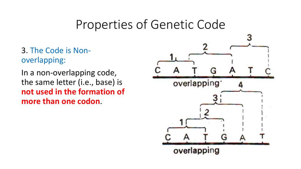 Coding properties. Genetic code properties. Genetic code DNA. Genetic code Table. What is the genetic code?.